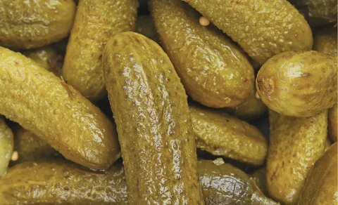 تصویر 1 از قیمت خیارشور ممتاز دلپذیر + خرید باور نکردنی